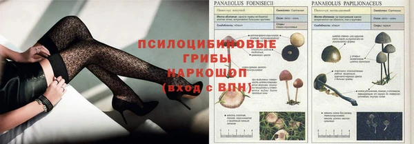 Альфа ПВП Балахна