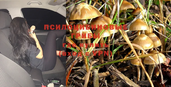 эйфоретик Балабаново