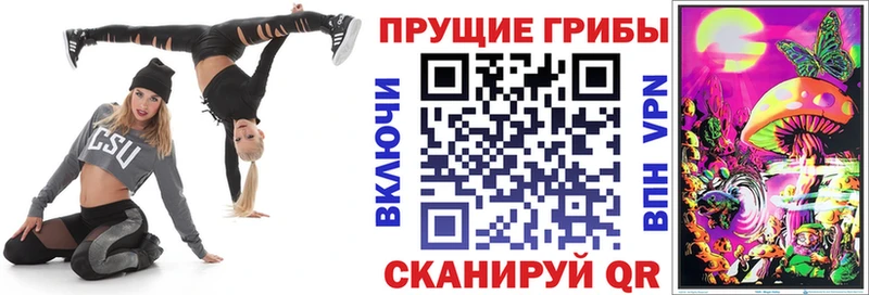 Псилоцибиновые грибы Psilocybe магазин наркотиков Вязники